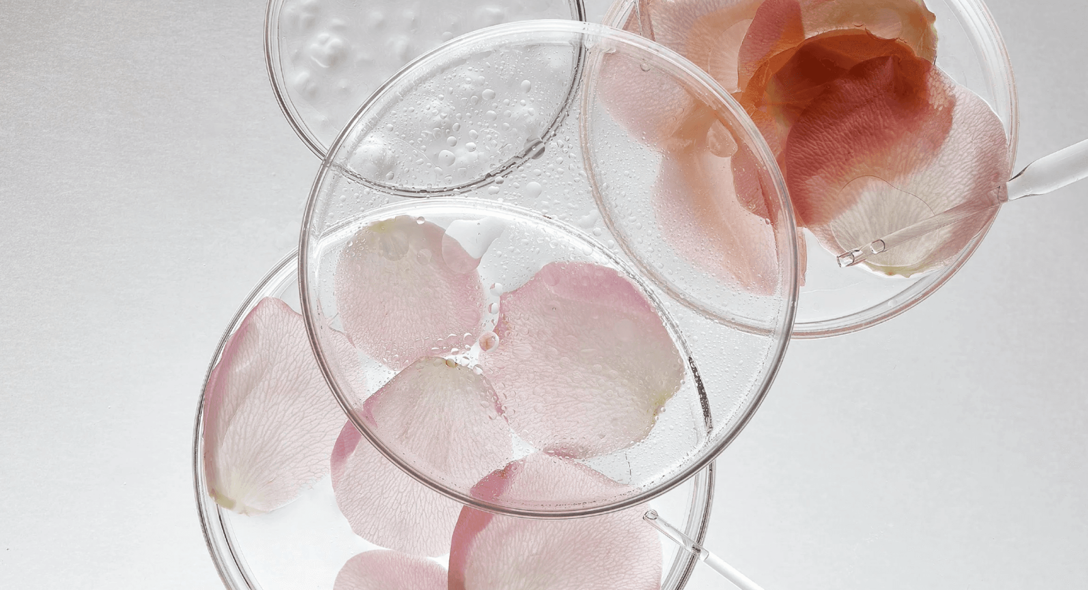 COSMAX+ formulation
