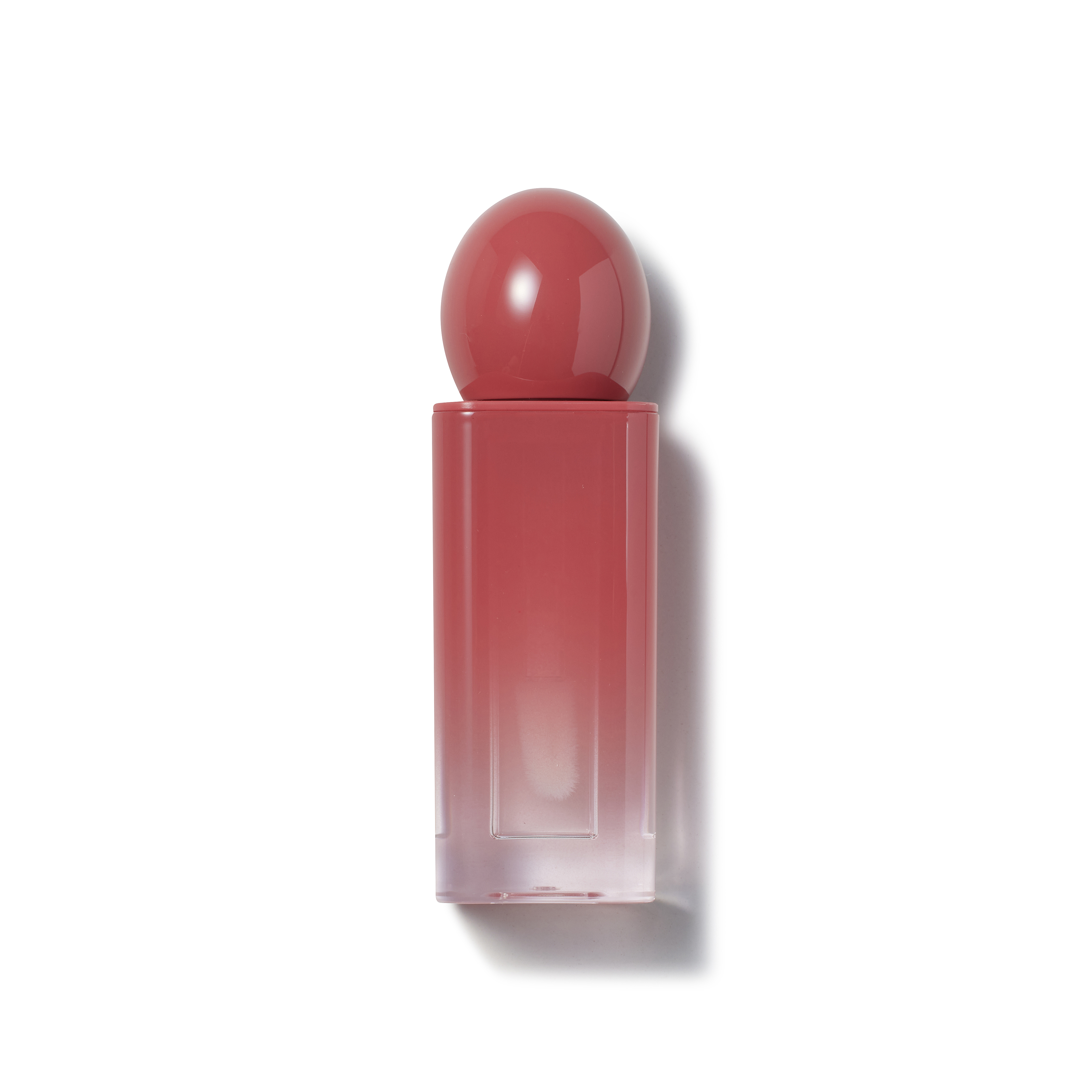PM ST 005 S tint(cap R)_A